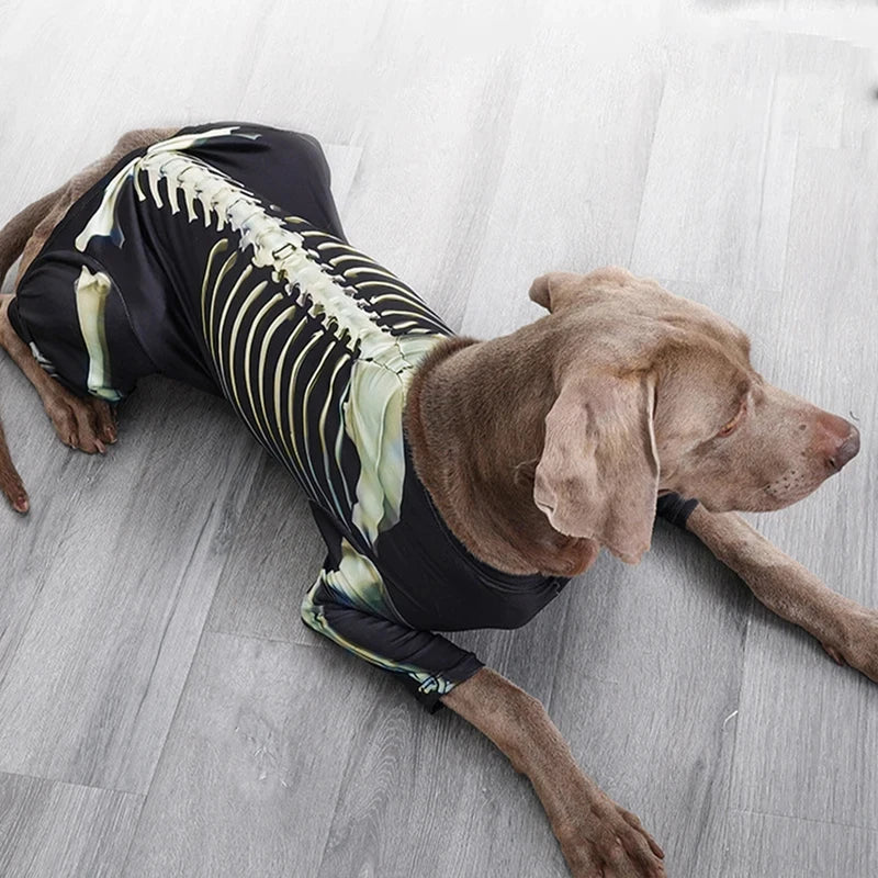 Skeleton dog costume real product photo